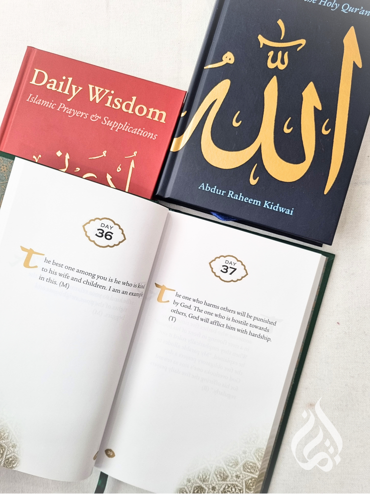 Daily Wisdom Bundle