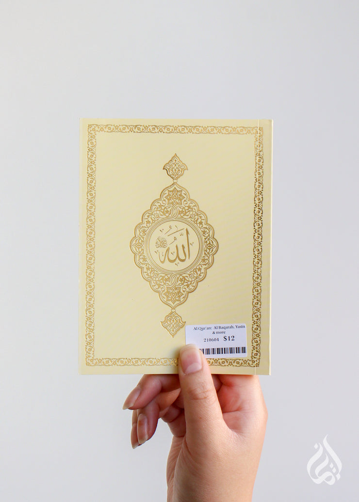 Selected Surahs from the Qur'an - Soft Cover